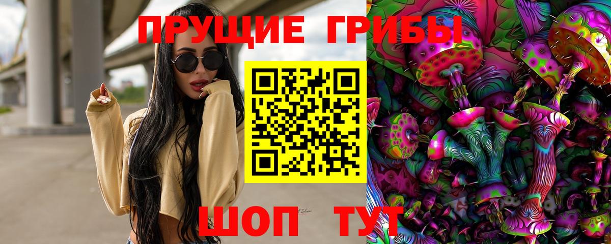 Галлюциногенные грибы Psilocybe  купить   Крымск  Вход с VPN 